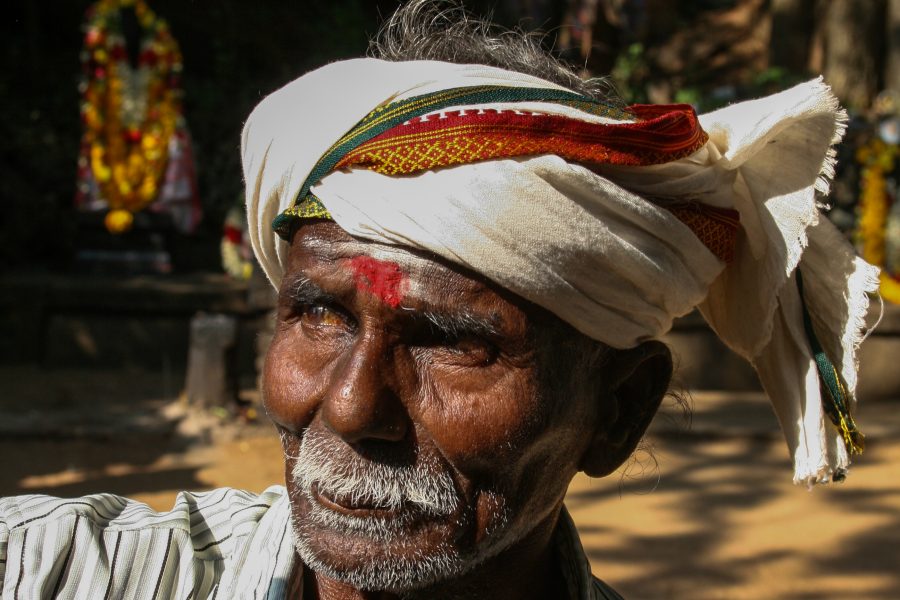 Inde du Sud (Kerala et Tamil Nadu)