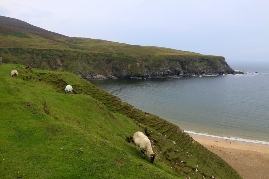 Île d&rsquo;Irlande (le Nord)