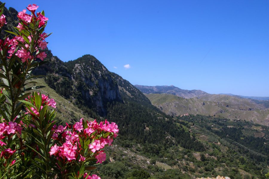 Crète (région de La Canée)